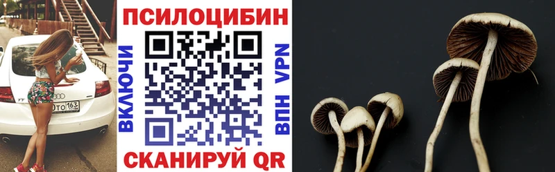мега рабочий сайт Дмитровск Псилоцибиновые грибы Cubensis